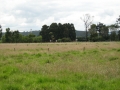 galeria-img_6123