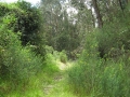 galeria-img_6126