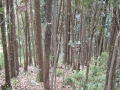 galeria-img_6127
