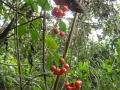 galeria-img_6130