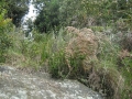 galeria-img_6131
