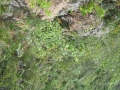 galeria-img_6132