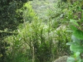galeria-img_6138
