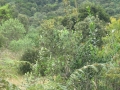 galeria-img_6139