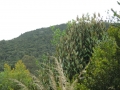galeria-img_6140
