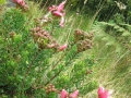 galeria-img_6141