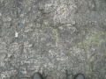 galeria-img_6142