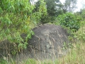 galeria-img_6143