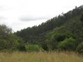 galeria-img_6145