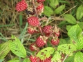galeria-img_6147