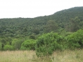 galeria-img_6149