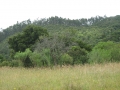 galeria-img_6150