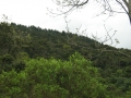 galeria-img_6151