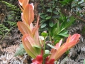 galeria-img_6153
