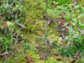 galeria-img_6154
