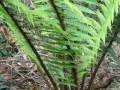galeria-img_6155