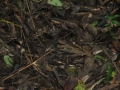 galeria-img_6156