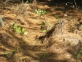 galeria-img_6161