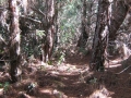 galeria-img_6164