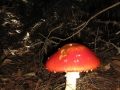 galeria-img_6165