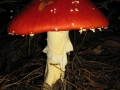 galeria-img_6166