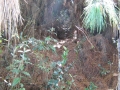 galeria-img_6168