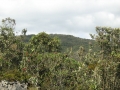 galeria-img_6174