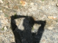 galeria-img_6175