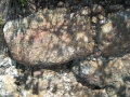 galeria-img_6177