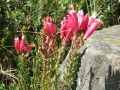 galeria-img_6178