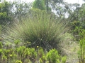 galeria-img_6184
