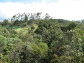galeria-img_6187