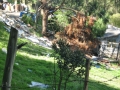 galeria-img_6189